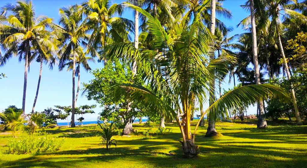 Somewhere Else Boutique Resort Mambajao Exterior photo